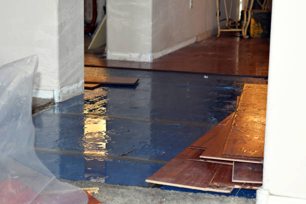 Professional Emergency Water Damage Restoration technician working in Castalia, OH